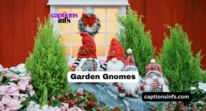 35 Trending Garden Gnomes You Need for a Stylish Garden in 2026